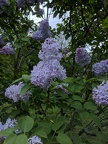 IMG 20180513 130351