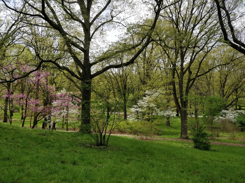 IMG 20180513 132906