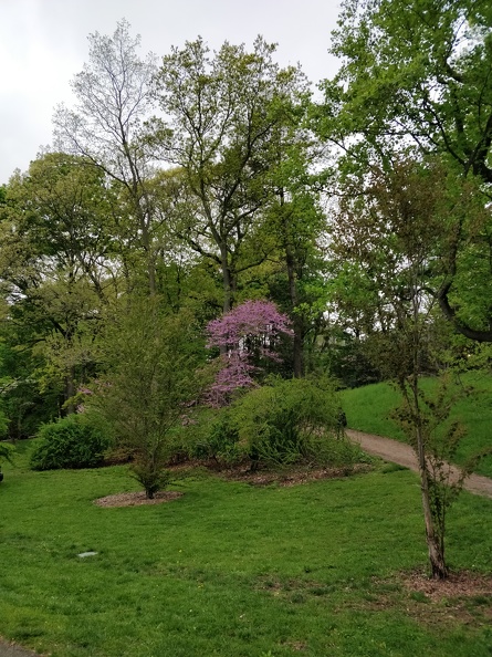 IMG 20180513 121920