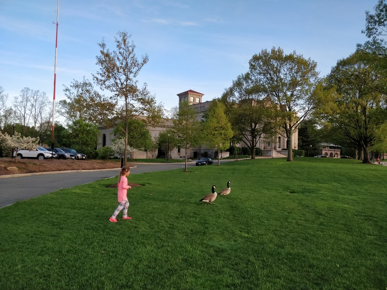 IMG 20180514 191915