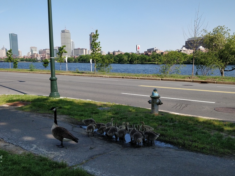 IMG 20180530 162912