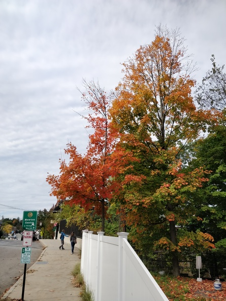 IMG 20181014 135247