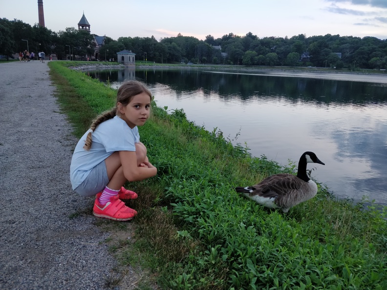 IMG 20180814 193753