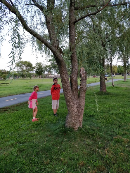 IMG 20180820 193008