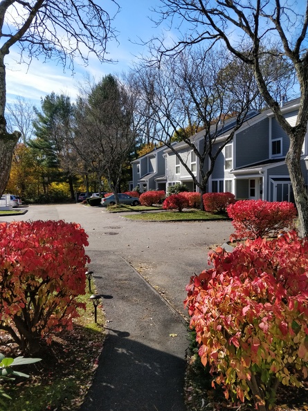 IMG 20181104 111356