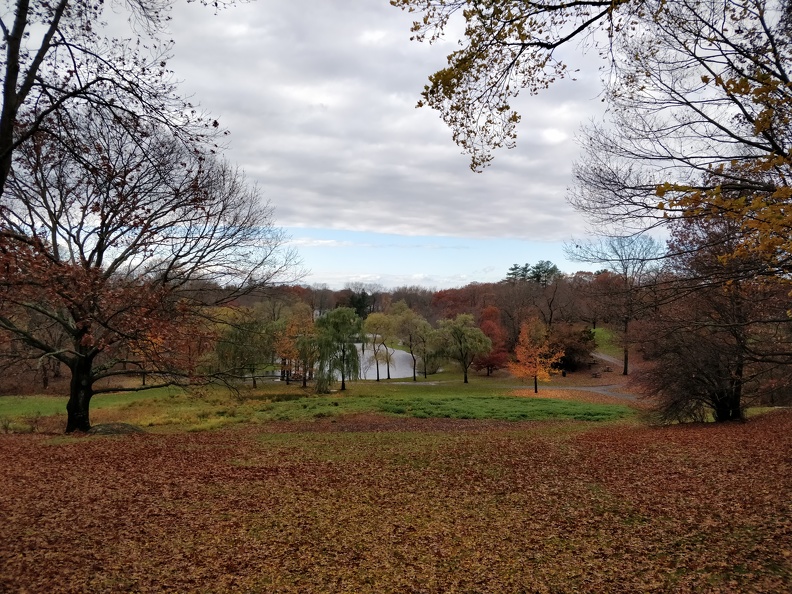 IMG 20181110 122112