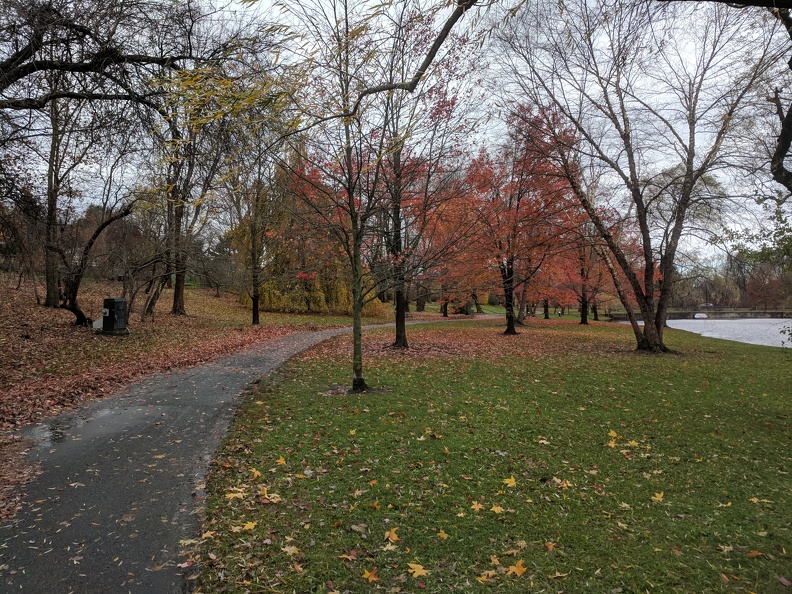 IMG 20181110 120904