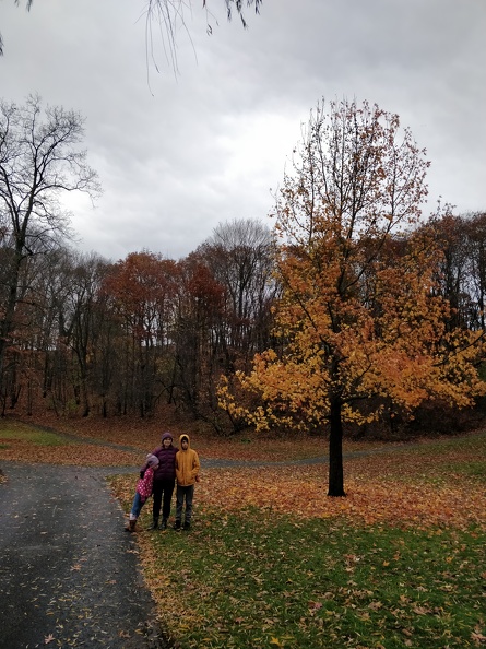 IMG 20181110 121131