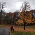 IMG_20181110_121131.jpg