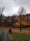 IMG 20181110 121131