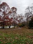 IMG 20181110 121210
