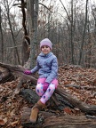 IMG 20181112 153610