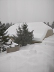 IMG 20190120 075256