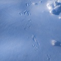 IMG 20190122 084459