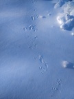 IMG 20190122 084459