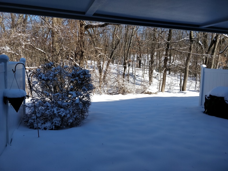 IMG 20190122 105939