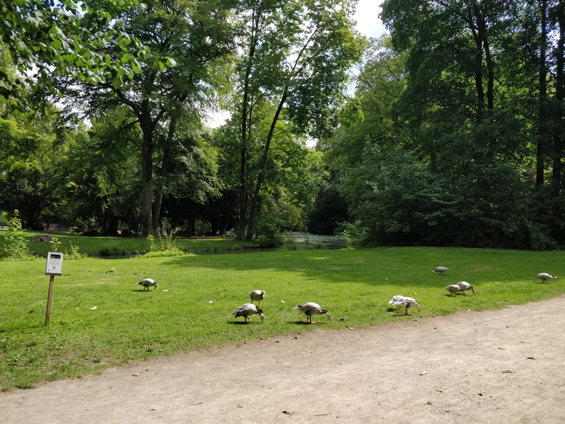 IMG 20180621 110237