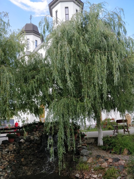 IMG 20180616 182233