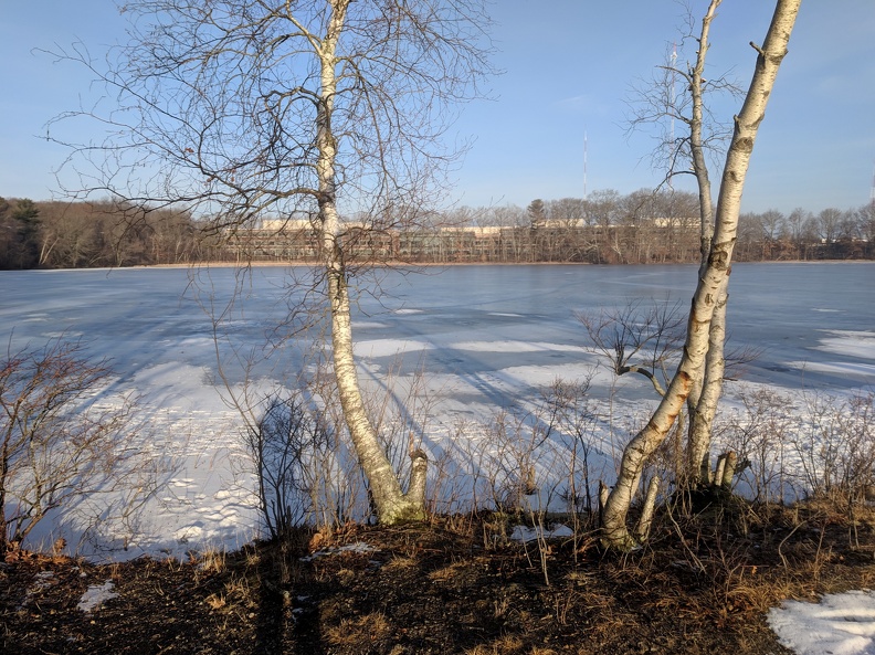 IMG 20190204 081335