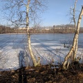 IMG 20190204 081335