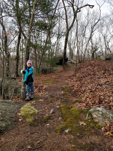 IMG_20190210_160603.jpg