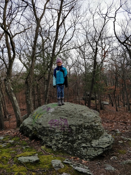IMG 20190210 160724