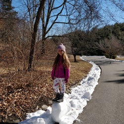Arnold Arboretum