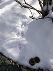 IMG 20190301 084606