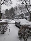 IMG 20190302 091646