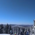 IMG 20190309 094513