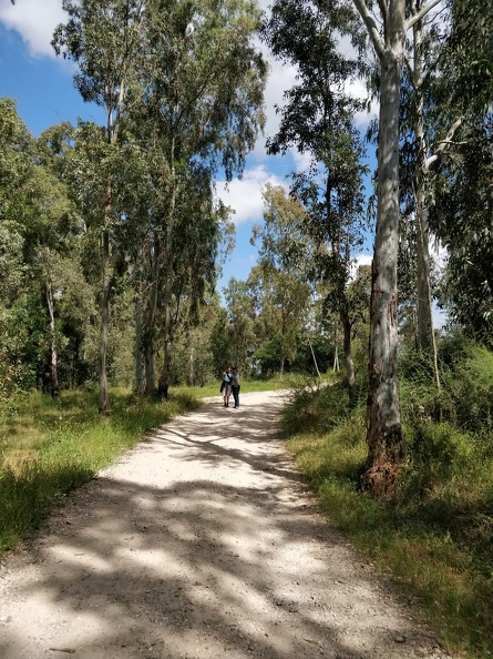IMG 20190418 145611