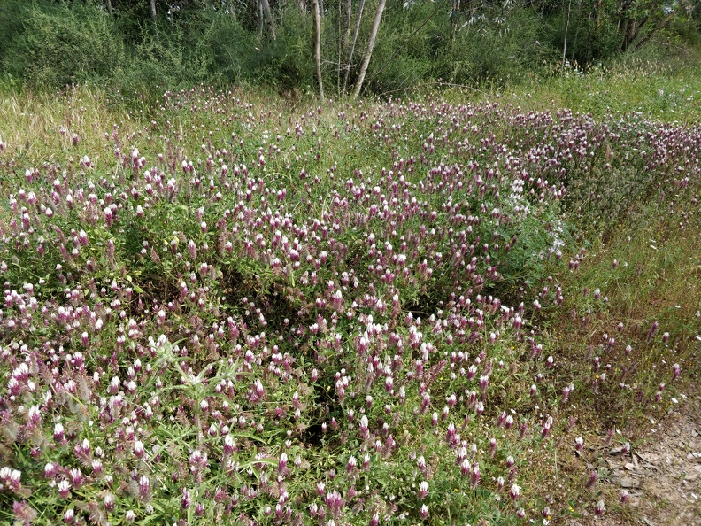 IMG 20190418 151058