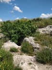 IMG 20190419 134712