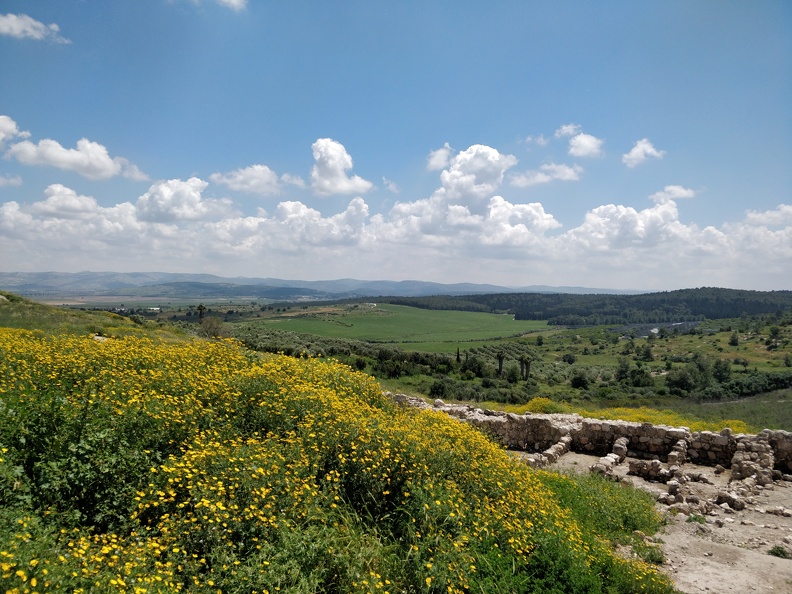 IMG 20190419 122930