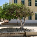 IMG_20190416_123606.jpg