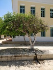 IMG 20190416 123606