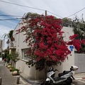 IMG 20190416 125941