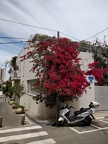 IMG 20190416 125941