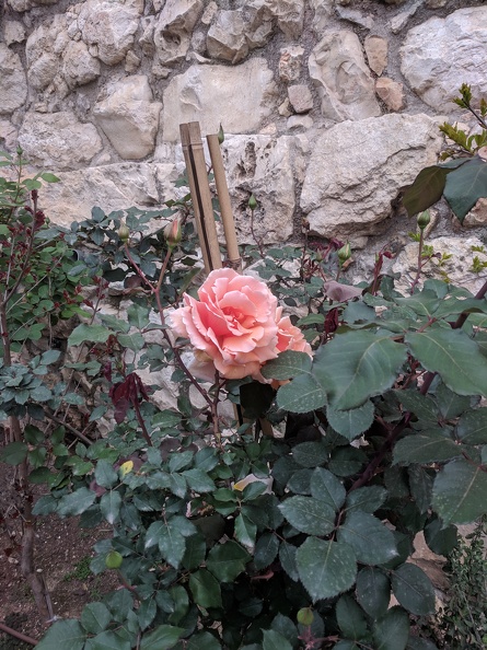 IMG 20190415 150847