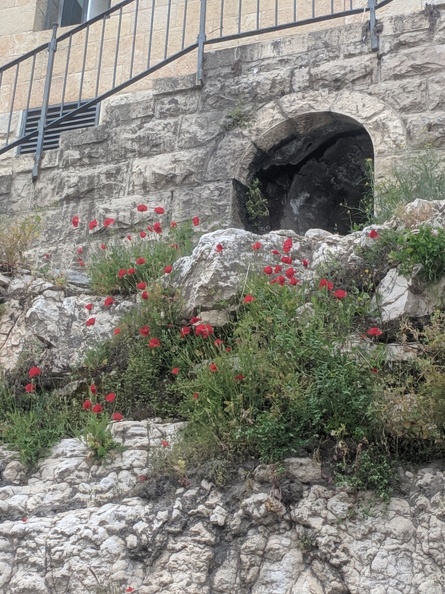 IMG 20190415 165058