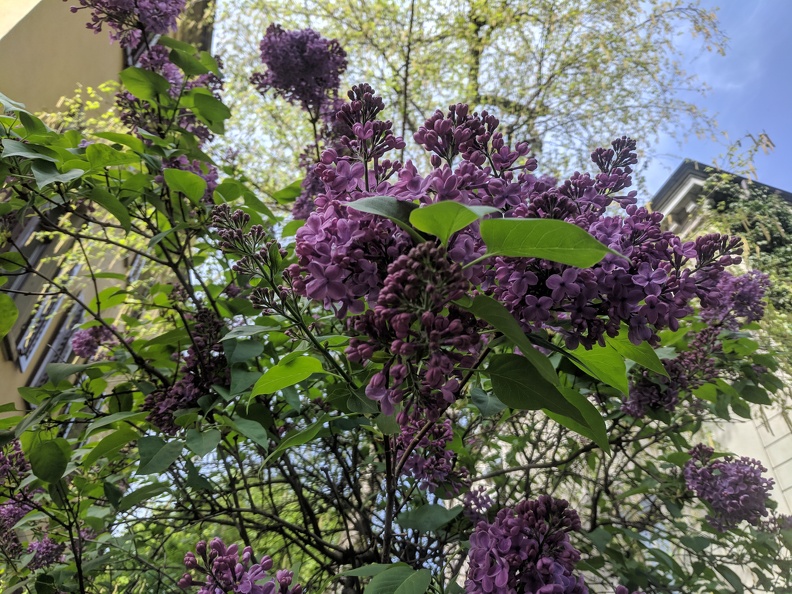 IMG 20190422 105300