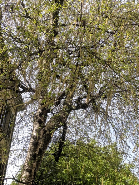 IMG 20190422 105320