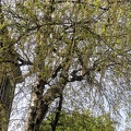 IMG 20190422 105320