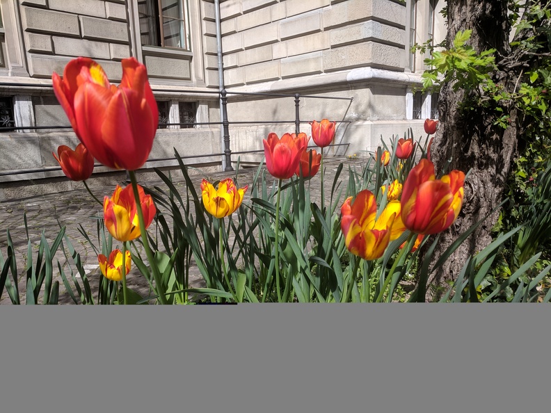 IMG 20190422 105835
