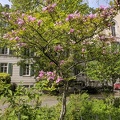 IMG 20190422 110116
