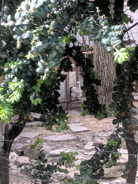 IMG 20190422 110214