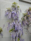 IMG 20190422 111921