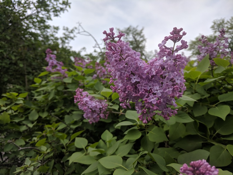 IMG 20190422 112217