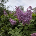 IMG 20190422 112217