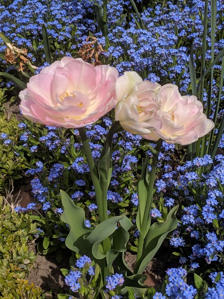 IMG 20190422 112919